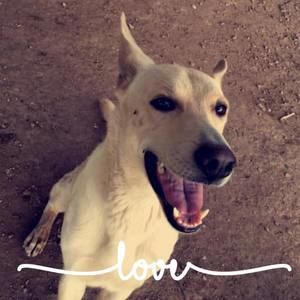 Meet your Posher, Britney